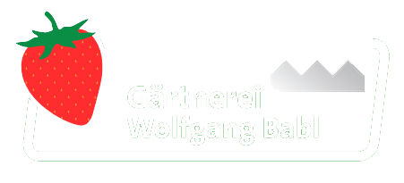 Gärtnerei Wolfgang Babl - Babl Erdbeeren