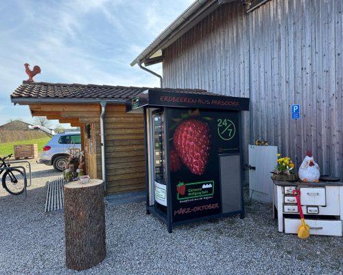 erdbeeren-grasbrunn